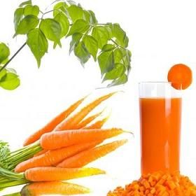 Carrot for skincare
