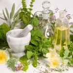 Culinary Herb Gardening at Home