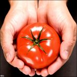 Eating tomatoes wards off depression