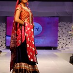 Faiza Samee’s Collection
