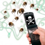 Is your cell phone killing bees?