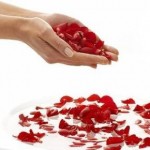 Glycerine and Rose Hand Lotion