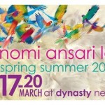 Nomi Ansari Lawn Exhibition 2011