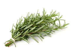 Herbs for Acne Treatment