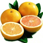 Grapefruit & Lemon Cleanser