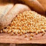 Soya benefits