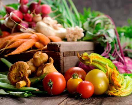 Find Healthy Treats and Lose Weight!