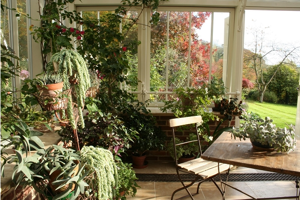 Ideas for Winter Garden Decoration