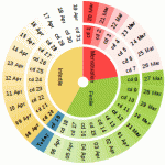 Calculating your ovulation date