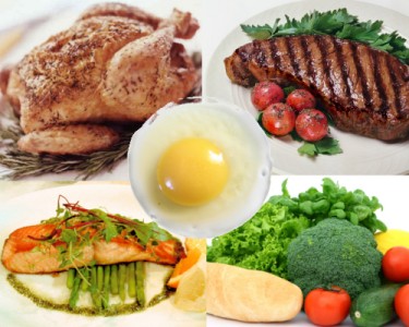 high protein diet