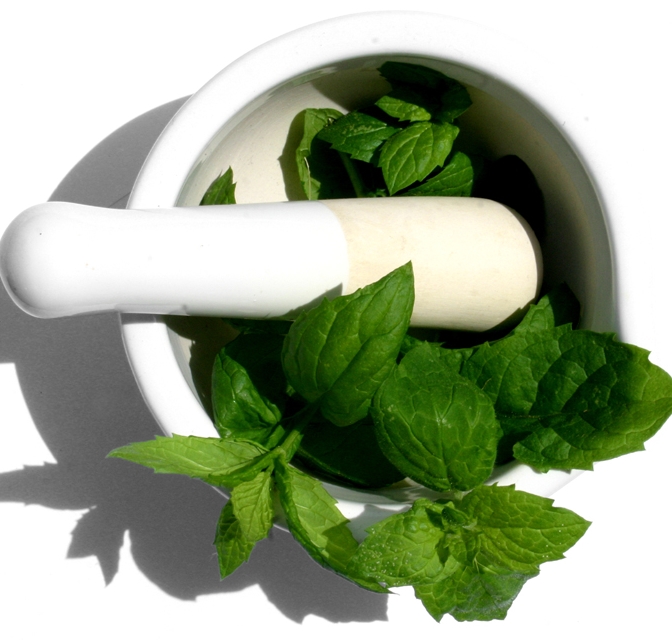 Mint - The Herbal Remedy For You