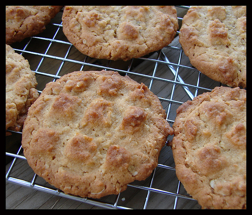 Peanut Butter Oatmeal Criss-Cross Cookies