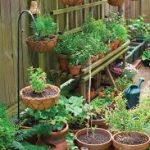 Simple Organic Gardening Tips
